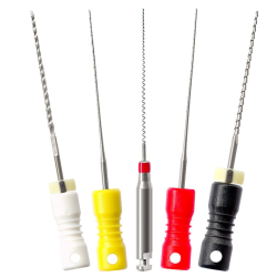 Endodontia