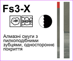 Fs3X