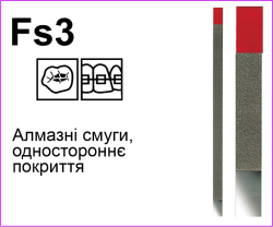 Fs3