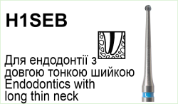 H1SEB