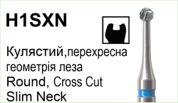 H1SXN5