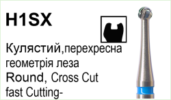 H1SX