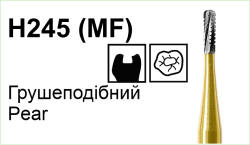 H245