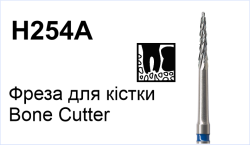 H254A