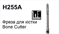 H255A