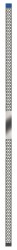 906499_fs3-mp